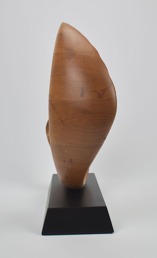 Sculpture 23.8 image 3